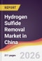 Hydrogen Sulfide Removal Market in China - Product Image