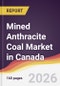 Mined Anthracite Coal Market in Canada - Product Image