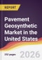 Pavement Geosynthetic Market in the United States - Product Image