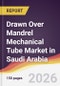 Drawn Over Mandrel Mechanical Tube Market in Saudi Arabia - Product Thumbnail Image
