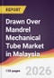 Drawn Over Mandrel Mechanical Tube Market in Malaysia - Product Image