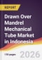 Drawn Over Mandrel Mechanical Tube Market in Indonesia - Product Thumbnail Image