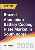 Brazed Aluminium Battery Cooling Plate Market in South Korea- Product Image