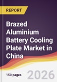 Brazed Aluminium Battery Cooling Plate Market in China- Product Image