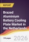 Brazed Aluminium Battery Cooling Plate Market in the Netherlands - Product Image