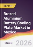 Brazed Aluminium Battery Cooling Plate Market in Mexico- Product Image