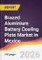 Brazed Aluminium Battery Cooling Plate Market in Mexico - Product Image