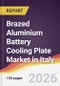Brazed Aluminium Battery Cooling Plate Market in Italy - Product Thumbnail Image