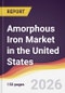 Amorphous Iron Market in the United States - Product Image