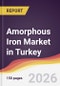 Amorphous Iron Market in Turkey - Product Thumbnail Image