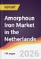 Amorphous Iron Market in the Netherlands - Product Thumbnail Image