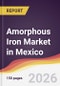 Amorphous Iron Market in Mexico - Product Thumbnail Image