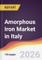 Amorphous Iron Market in Italy - Product Thumbnail Image