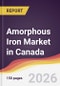 Amorphous Iron Market in Canada - Product Thumbnail Image