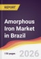 Amorphous Iron Market in Brazil - Product Thumbnail Image