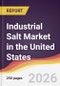 Industrial Salt Market in the United States - Product Image