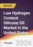 Low Hydrogen Content Silicone Oil Market in the United States- Product Image