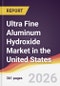 Ultra Fine Aluminum Hydroxide Market in the United States - Product Image