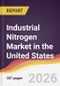 Industrial Nitrogen Market in the United States - Product Thumbnail Image