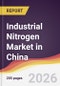 Industrial Nitrogen Market in China - Product Image