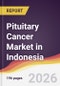 Pituitary Cancer Market in Indonesia - Product Image