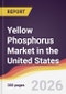 Yellow Phosphorus Market in the United States - Product Image