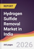 Hydrogen Sulfide Removal Market in India- Product Image