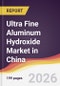 Ultra Fine Aluminum Hydroxide Market in China - Product Thumbnail Image
