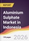 Aluminium Sulphate Market in Indonesia - Product Thumbnail Image