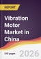 Vibration Motor Market in China - Product Thumbnail Image