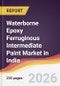 Waterborne Epoxy Ferruginous Intermediate Paint Market in India - Product Image