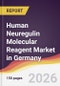 Human Neuregulin Molecular Reagent Market in Germany - Product Thumbnail Image