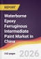 Waterborne Epoxy Ferruginous Intermediate Paint Market in China - Product Thumbnail Image