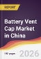 Battery Vent Cap Market in China - Product Thumbnail Image
