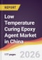 Low Temperature Curing Epoxy Agent Market in China - Product Thumbnail Image