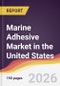 Marine Adhesive Market in the United States - Product Thumbnail Image