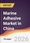 Marine Adhesive Market in China - Product Thumbnail Image
