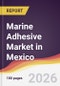 Marine Adhesive Market in Mexico - Product Thumbnail Image