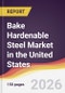 Bake Hardenable Steel Market in the United States - Product Image