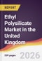 Ethyl Polysilicate Market in the United Kingdom - Product Thumbnail Image