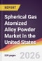 Spherical Gas Atomized Alloy Powder Market in the United States - Product Thumbnail Image