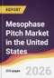 Mesophase Pitch Market in the United States - Product Image