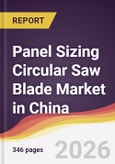 Panel Sizing Circular Saw Blade Market in China- Product Image