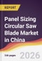 Panel Sizing Circular Saw Blade Market in China - Product Image