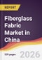 Fiberglass Fabric Market in China - Product Thumbnail Image