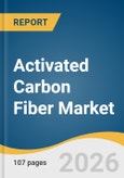 Activated Carbon Fiber Market Size, Share & Trends Analysis Report by Raw Materials, End Use, Region, and Growth Forecasts, 2026-2033- Product Image