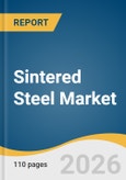Sintered Steel Market Size, Share & Trends Analysis Report by Application, Region, Key Companies and Competitive Analysis, and Growth Forecasts, 2026-2033- Product Image