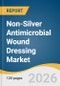 Non-Silver Antimicrobial Wound Dressing Market Size, Share & Trends Analysis Report by Product, Application, End-Use, Region, and Growth Forecasts, 2026-2033 - Product Thumbnail Image