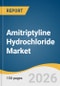 Amitriptyline Hydrochloride Market Size, Share & Trends Analysis Report by Dosage Form,, Indication, Distribution Channel, Region, and Growth Forecasts, 2026-2033 - Product Thumbnail Image