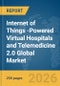 Internet of Things (IoT)-Powered Virtual Hospitals and Telemedicine 2.0 Global Market Report 2026 - Product Thumbnail Image